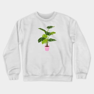 Potted Monstera Plant Pink Crewneck Sweatshirt